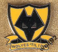 Знак Вулверхемптон Уондерерс Англия (5) / Wolves' Til I Die / 2010-е гг.