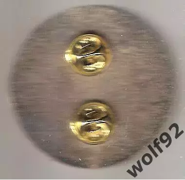 Знак Спартак Москва /Чемпион СССР /Чемпион России /1936-2017 / 2017 1