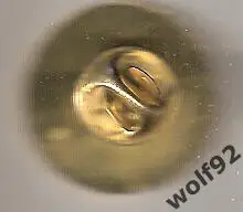 Знак Челси Англия (130) / Chelsea Headhunters / 2010-е / (D=22мм) 1