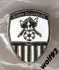 Знак Ноттс Каунти Англия (5) / Notts County FC / Официальный / 2019 1