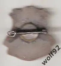 Знак Астон Вилла Англия (33) / Aston Villa FC / 1950-60-е / W.J.S. Ltd Hull 1