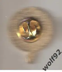 Знак ФК Иркутск (1) / 2023 1