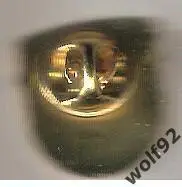 Знак ФК Звезда Пермь (1) / 2018 г. 1