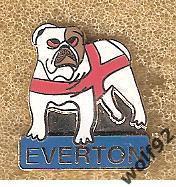 Знак Эвертон Англия (22) / Everton FC / Английский бульдог / 2000-е