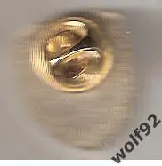 Знак ФК Калуга (2) / 2010-е гг. 1