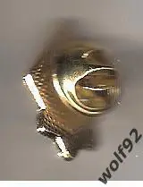 Знак ФК Динамо Глазго Шотландия (1) / Dynamo Glasgow FC / 2024 1