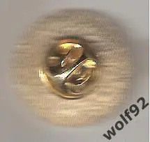 Знак Каслмилк Динамо Шотландия (1) / Castlemilk Dynamo / 2023 1