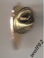 Знак Реал Сарагоса Испания (2) / Real Zaragosa / Официальный / 2000-е гг. 1