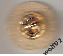 Знак ФК Бонниригг Роуз Шотландия (1) / Bonnyrigg Rose F.C. / 2016 1