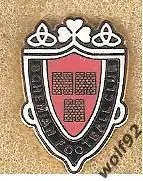 Знак ФК Богемиан Дублин Ирландия (1) / Bohemian F.C. / 2010-е