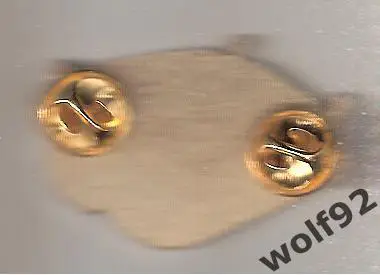 Знак ФК Факел Воронеж (5) / Стадион Факел / 2024 1