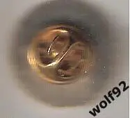 Знак ФК Локомотив Лиски (1) / 2000-е гг. 1