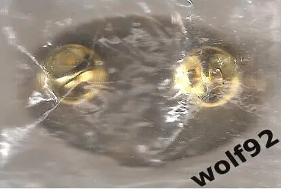 Знак Локомотив Москва (77) / 85 лет /1923-2008 / 2008 1