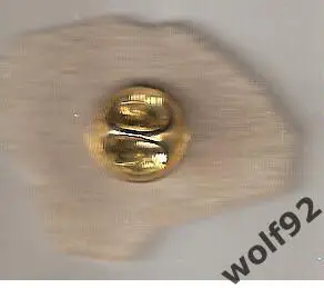 Знак Вулверхемптон Уондерерс Англия (48) / Wolves / Стадион Молинью / 2021 1