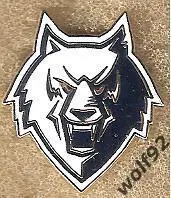 Знак Хоккей Нефтехимик Нижнекамск (6) / 2025