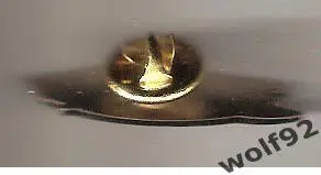 Знак Хоккей Анахайм Дакс НХЛ (2) / Anaheim Ducks NHL / 2010-е гг. 1