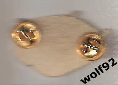 Знак ФК Факел Воронеж (5) / Стадион Факел / 2024 1