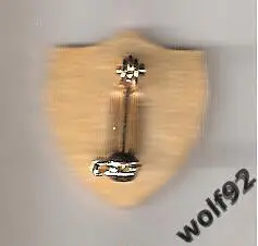 Знак Федерация Футбола Камерун (9) / Пр-во Англия / 2000-е гг. 1