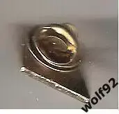 Знак ФК Динамо Барнаул (2) / 2010-е гг. 1