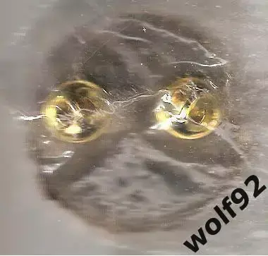 Знак Матчевый Локомотив Москва-Глазго Рейнджерс Шотландия/МТМ 1962 /Ретро/2005 1