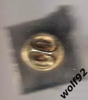 Знак Хоккей МХК Спартак Москва / Мишкопад в Сокольниках / 2010-е 1