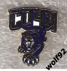 Знак Хоккей ХК Сочи (2) / 2010-е