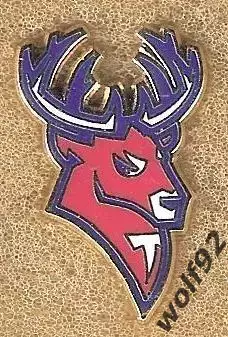 Знак Хоккей ХК Торпедо Нижний Новгород (12) / 2025