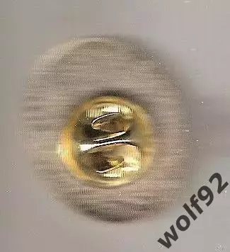 Знак Пиза Италия (1) / Pisa Sporting Club / 2025 1