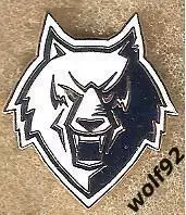 Знак Хоккей Нефтехимик Нижнекамск (6) / 2025