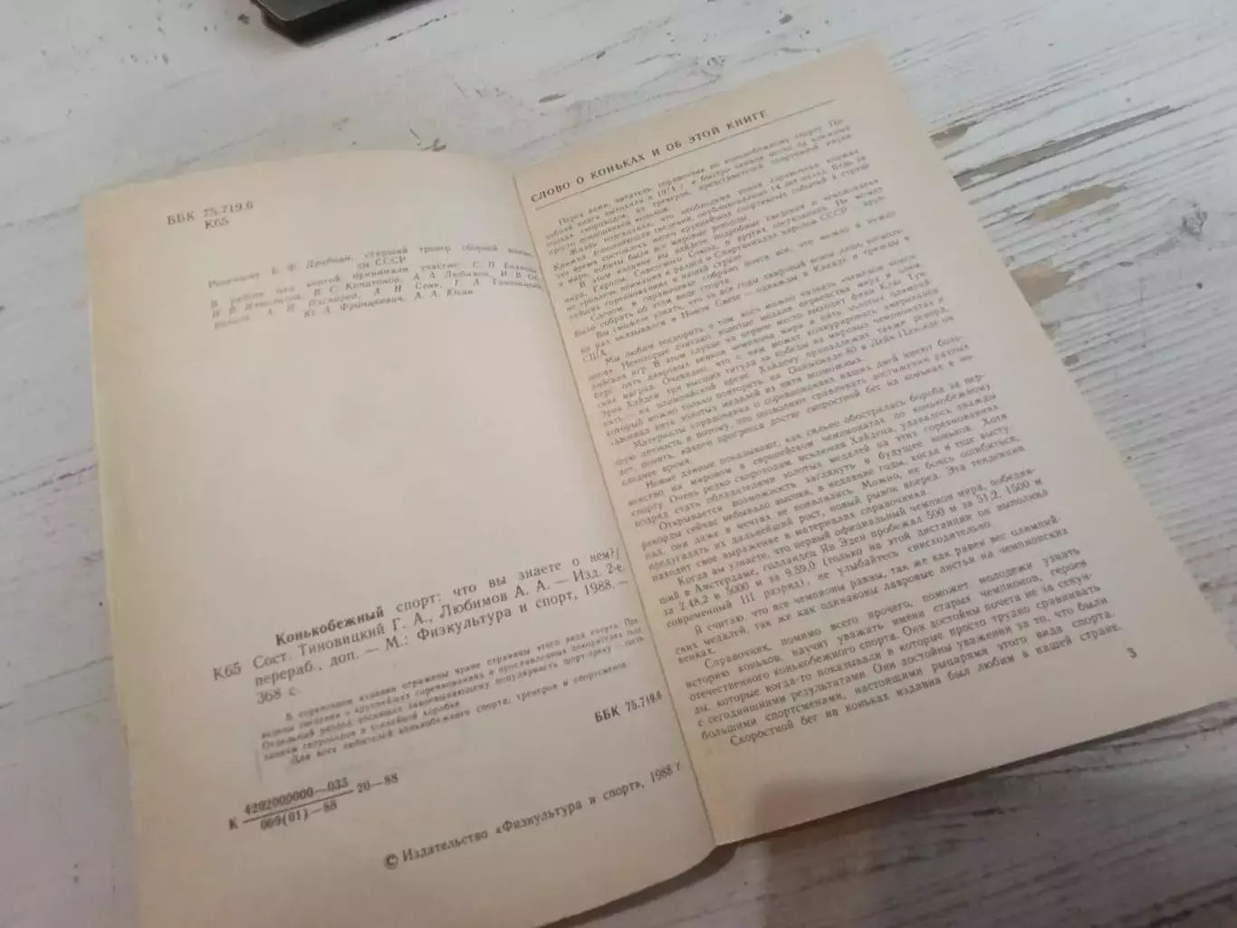 Конькобежный спорт: что вы знаете о нем ( справочник) 2