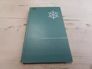 Лидия Орлова А мне все снится запах снега