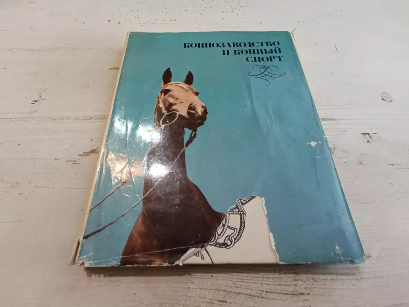 Коннозаводство и конный спорт Под ред Барминцева