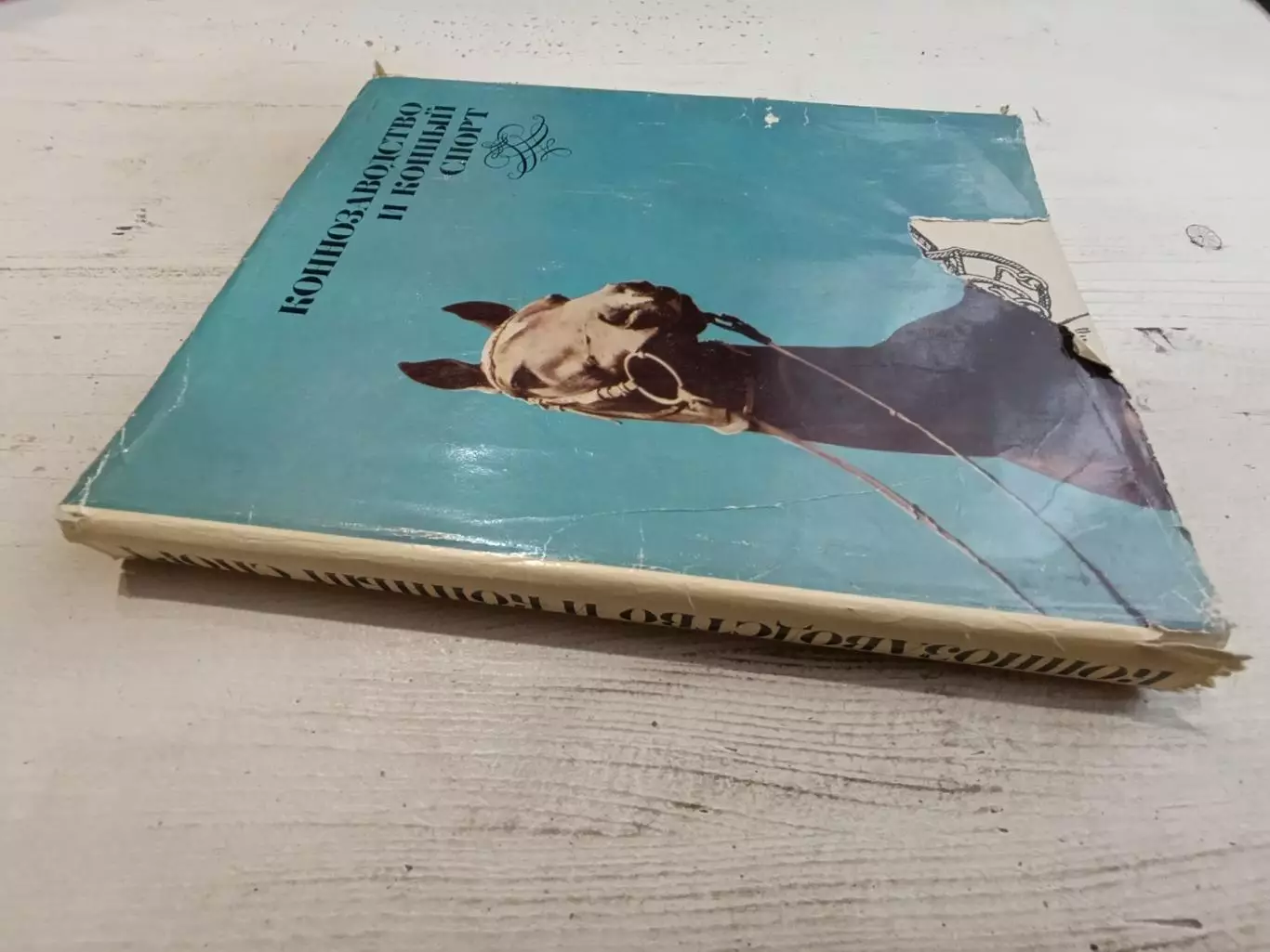 Коннозаводство и конный спорт Под ред Барминцева 1