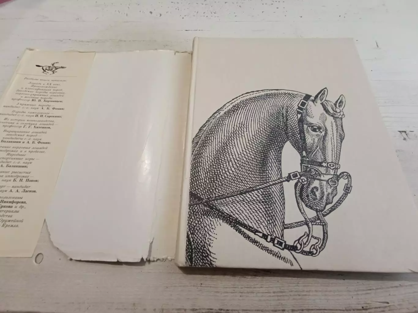 Коннозаводство и конный спорт Под ред Барминцева 2