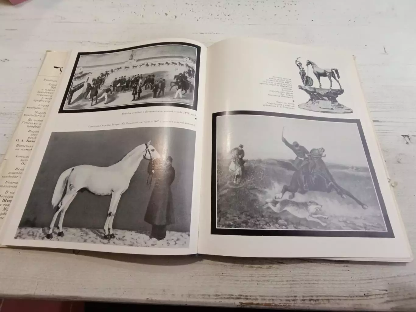 Коннозаводство и конный спорт Под ред Барминцева 6