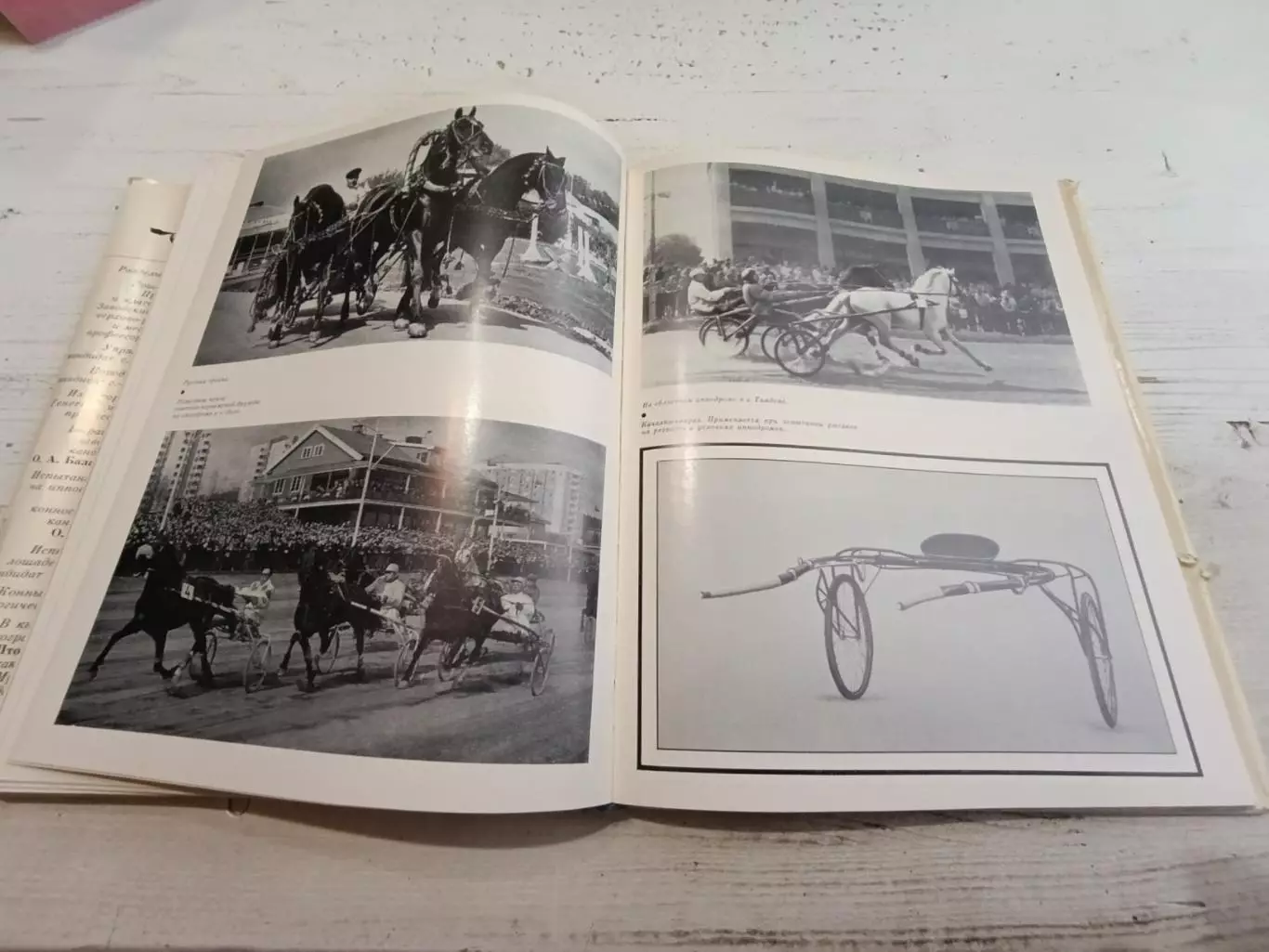 Коннозаводство и конный спорт Под ред Барминцева 7