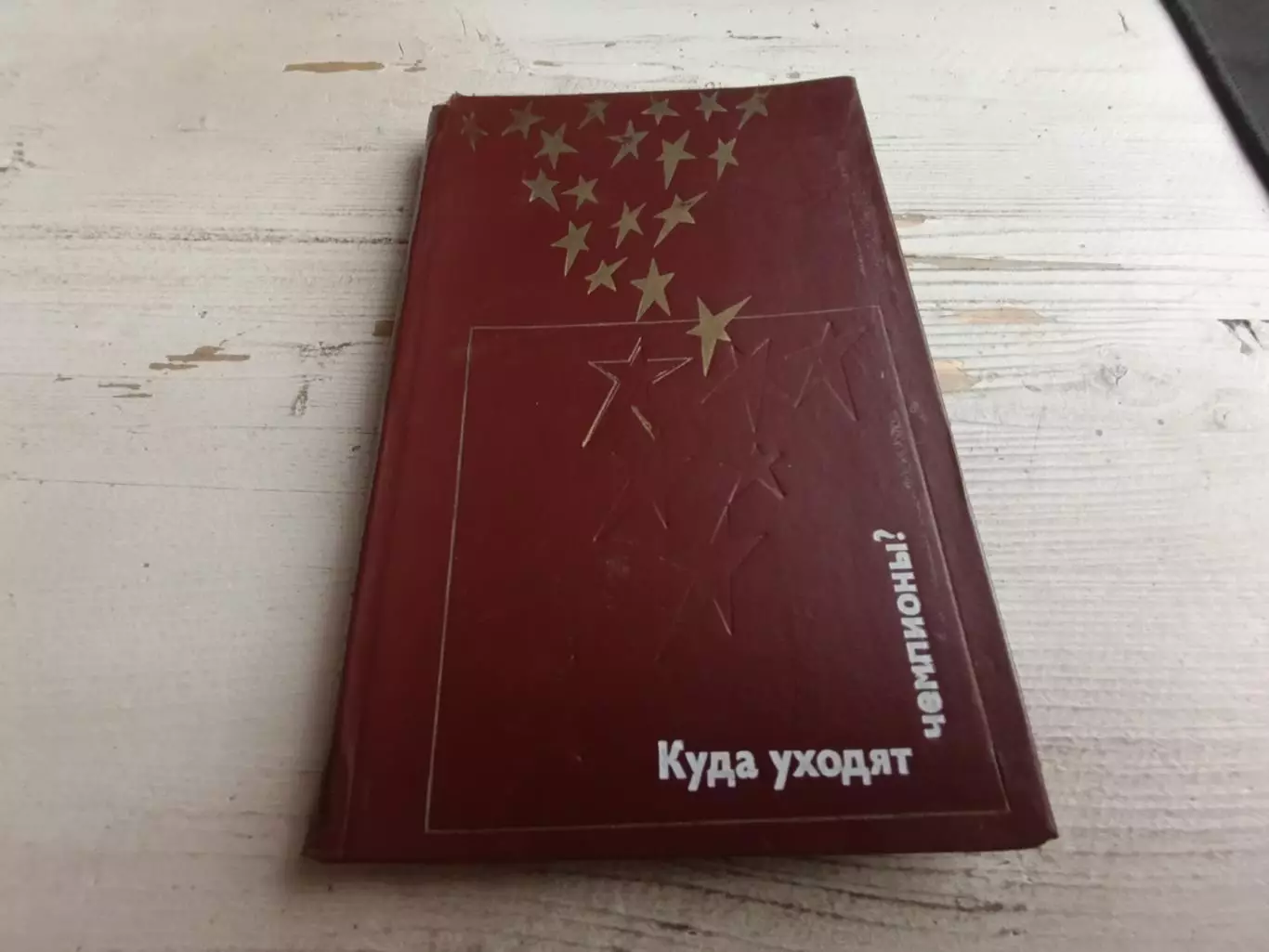 Сапожников Куда уходят чемпионы