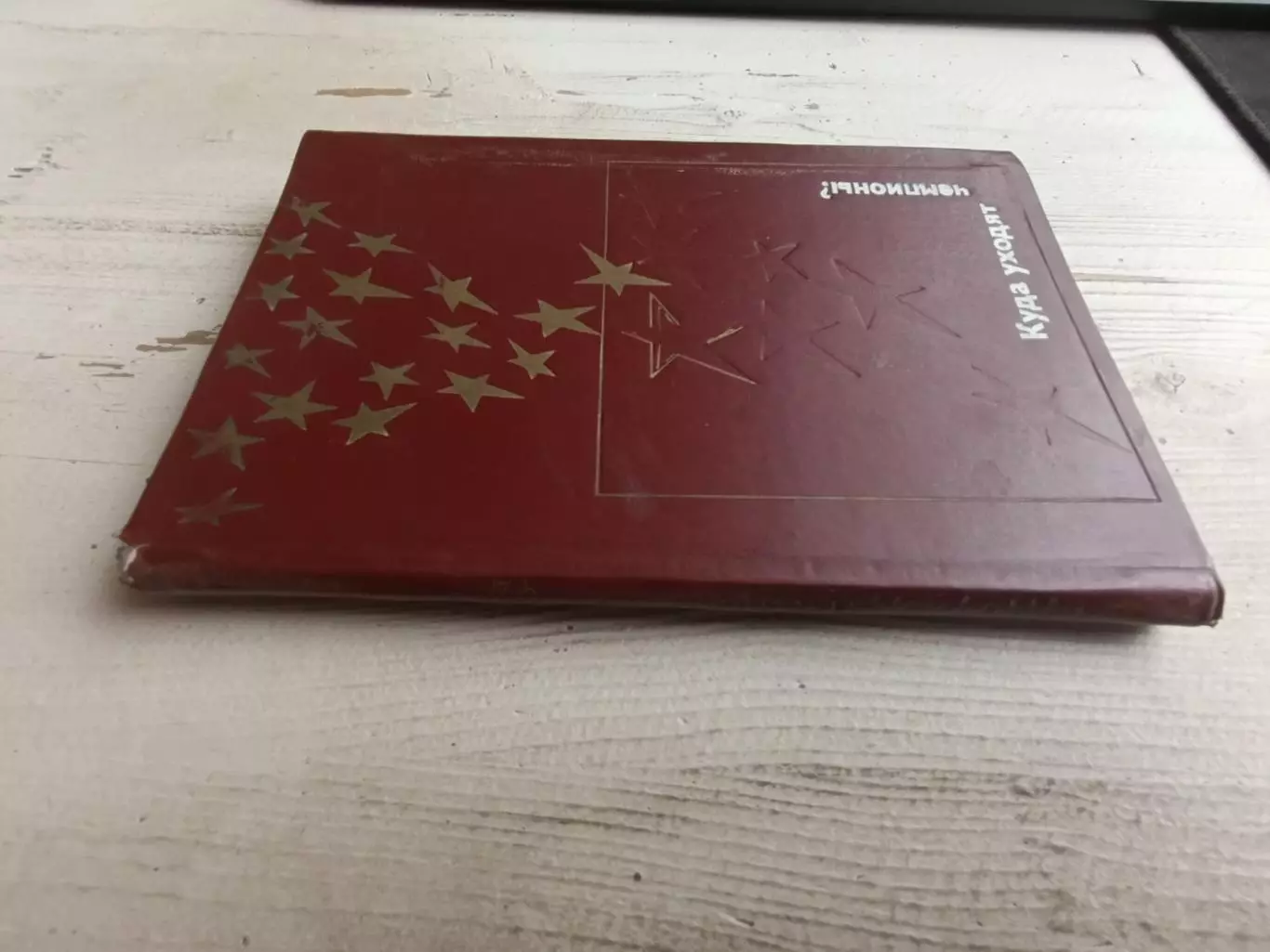 Сапожников Куда уходят чемпионы 1