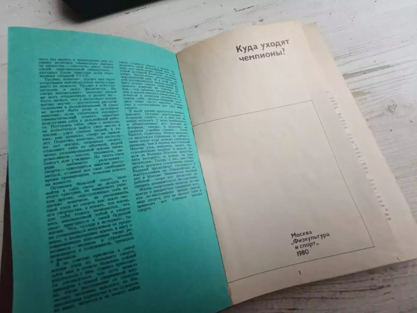 Сапожников Куда уходят чемпионы 2