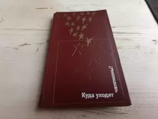 Сапожников Куда уходят чемпионы