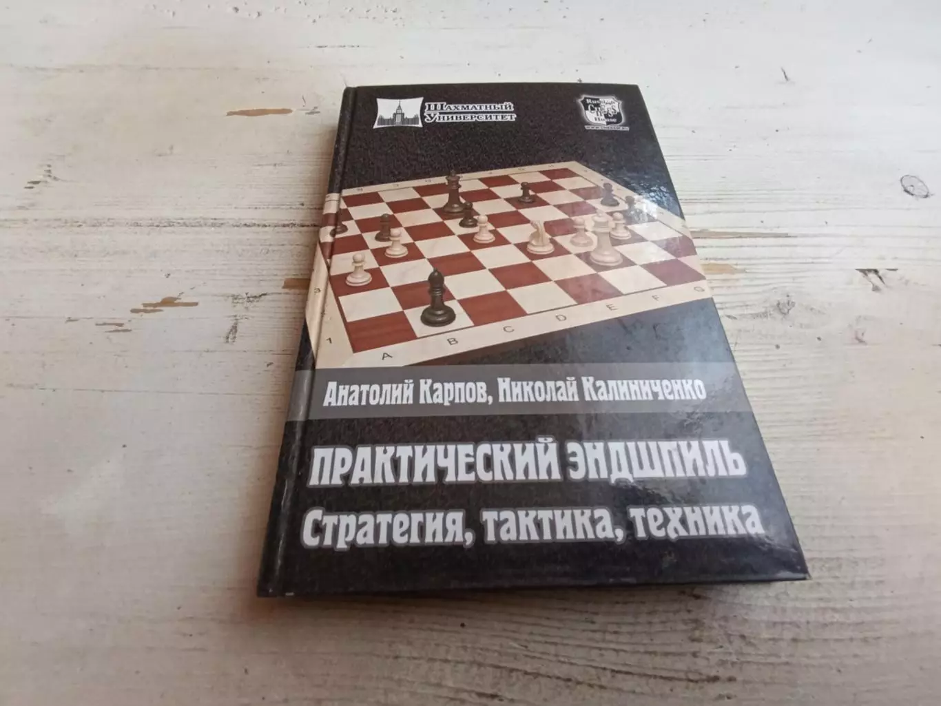 Карпов Калиниченко Практический эндшпиль Стратегия тактика техника