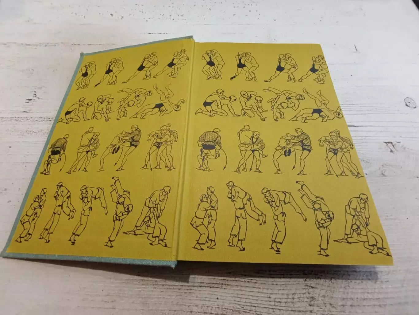 Спортивная борьба. Учебник для институтов физической культуры. Под редакцией А. 2