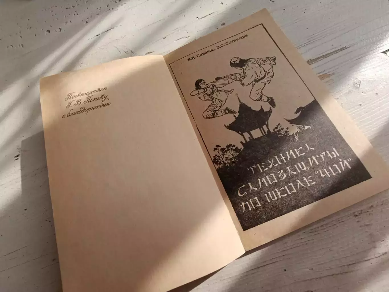 Смирнов Сямиуллин Техника самозащиты по школе ЧОЙ 2