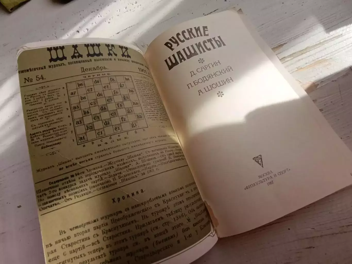 Саргин Бодянский Шошин Русские шашисты 2