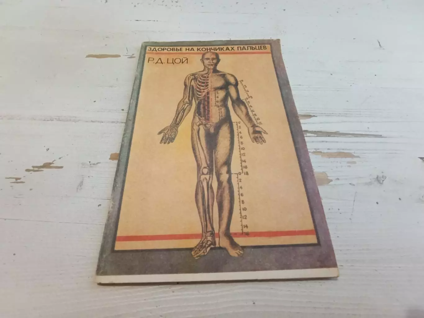 Цой Здоровье на кончиках пальцев