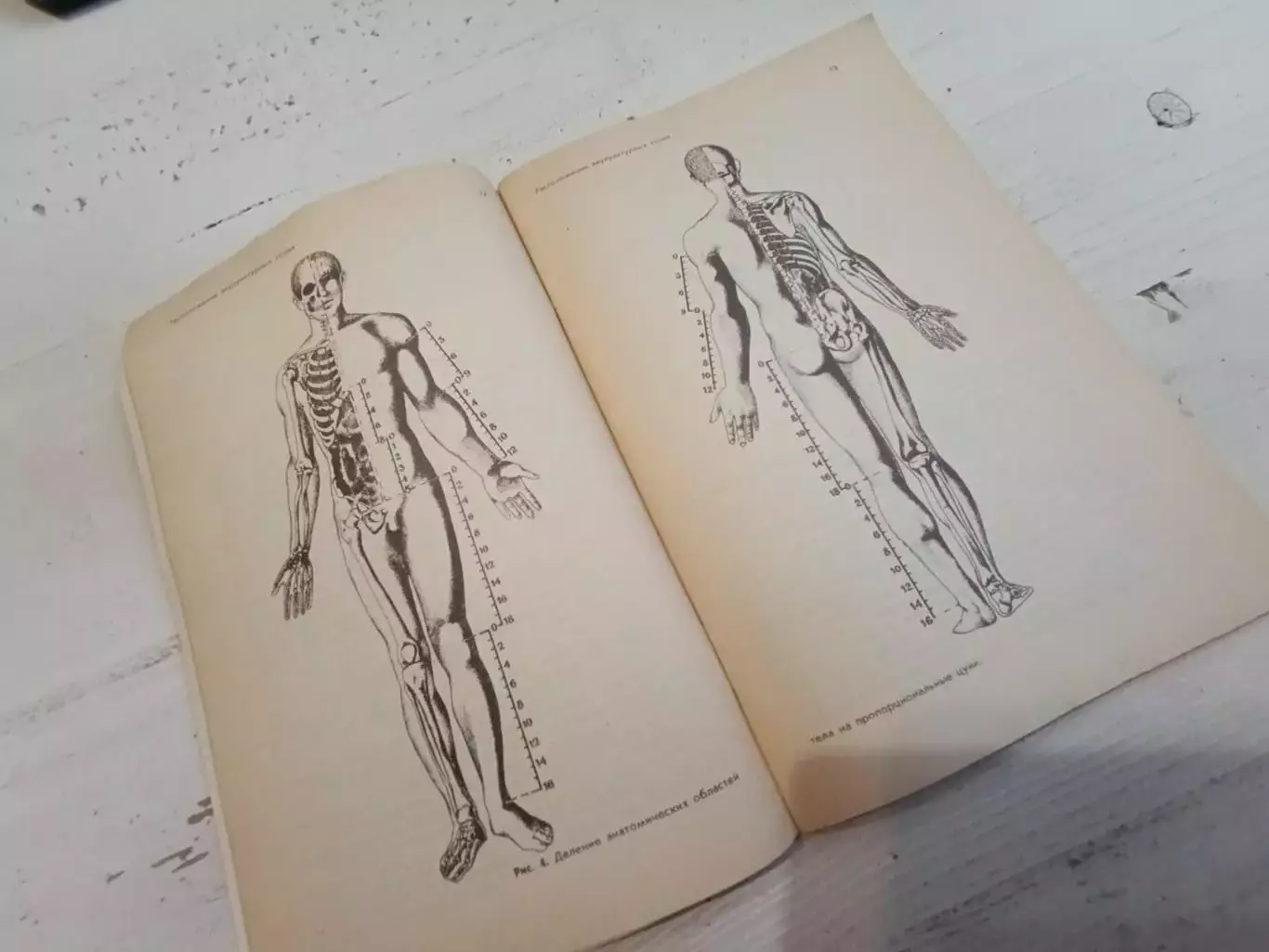 Цой Здоровье на кончиках пальцев 2