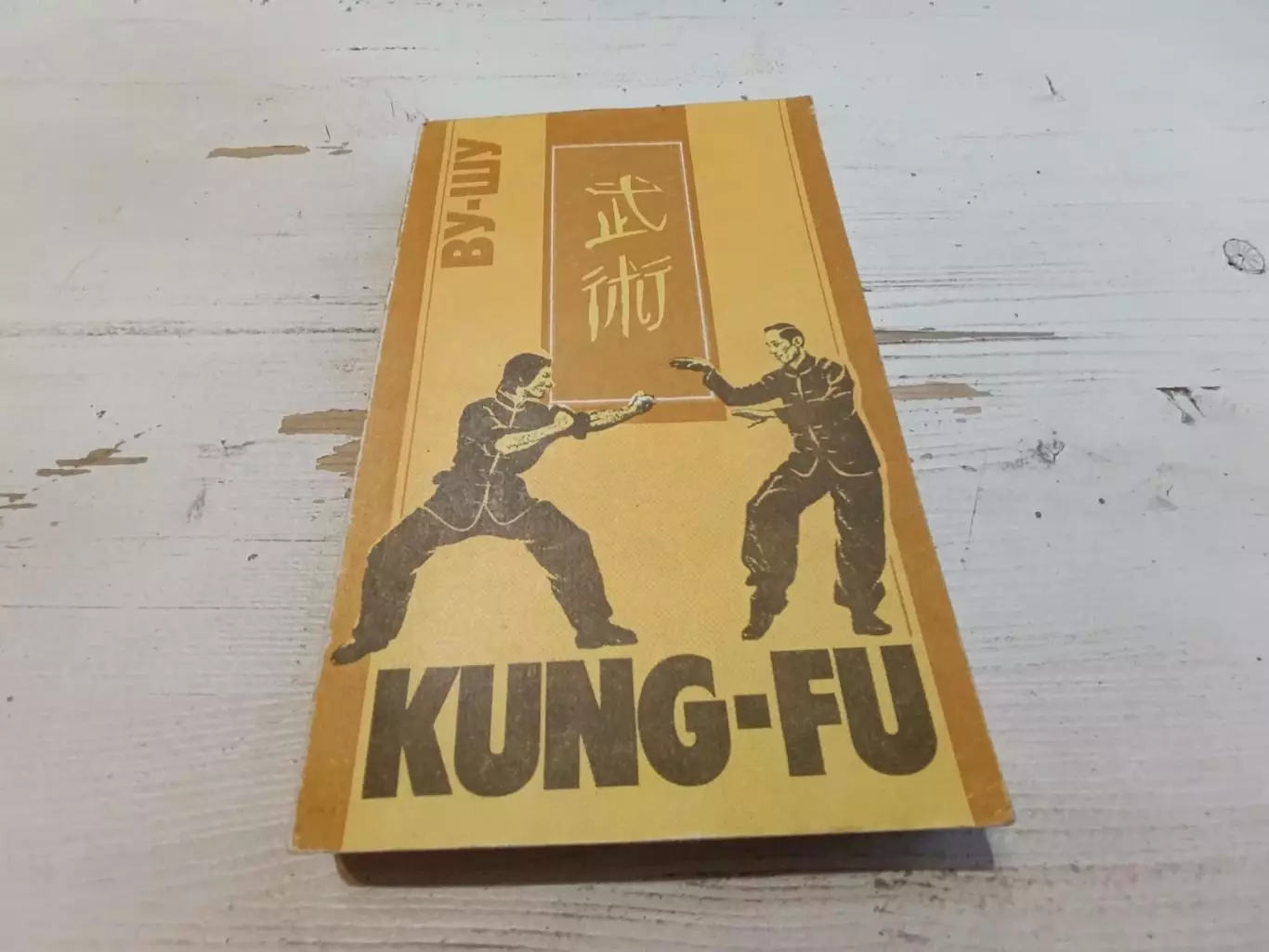 Кунг-фу Ву-шу рекомендации для начинающих Макашев Эдилян