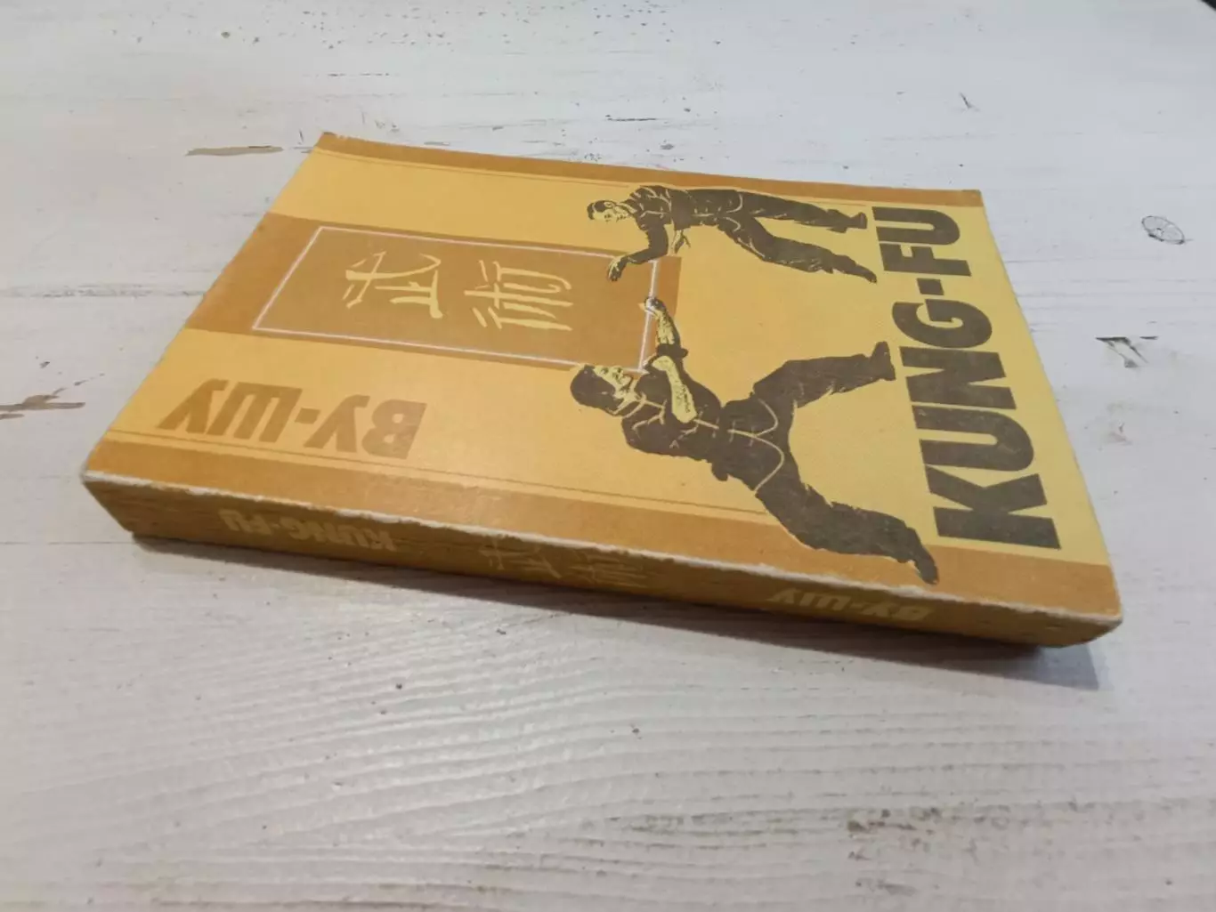 Кунг-фу Ву-шу рекомендации для начинающих Макашев Эдилян 1