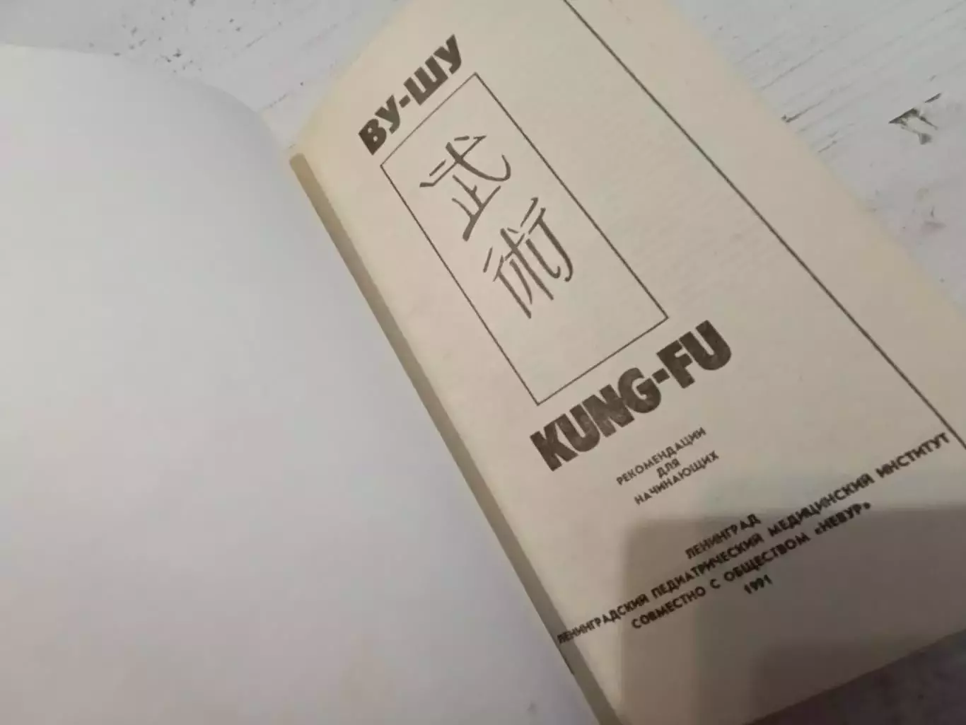 Кунг-фу Ву-шу рекомендации для начинающих Макашев Эдилян 2