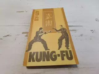 Кунг-фу Ву-шу рекомендации для начинающих Макашев Эдилян